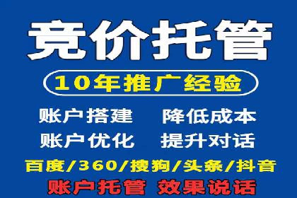 百度竞价SEM案例：揭秘高效广告投放技巧